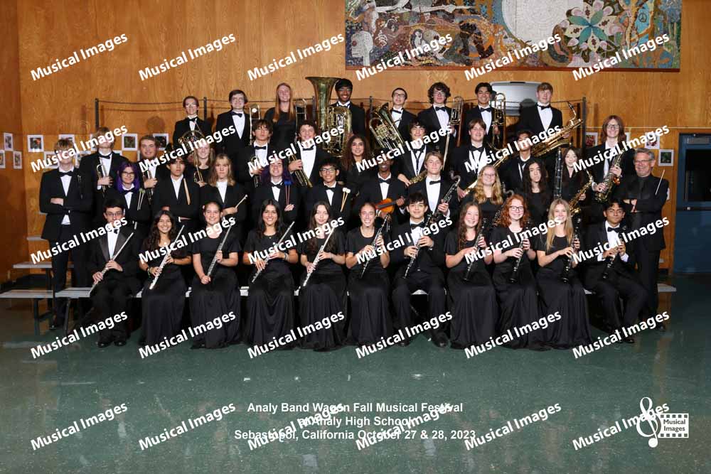 Musical Images